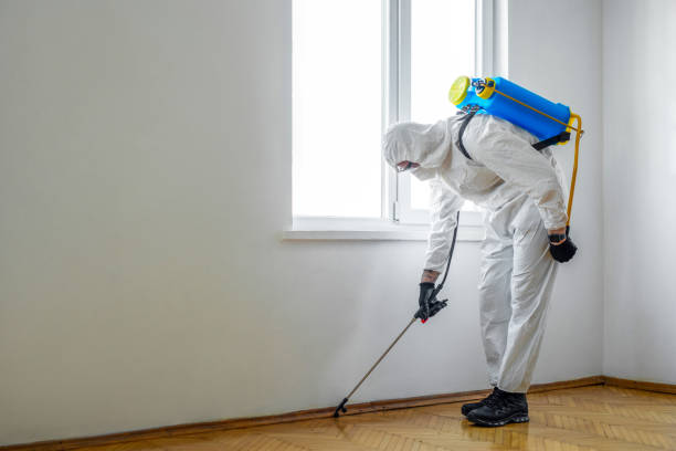 Professional Pest Control in Montezuma, GA